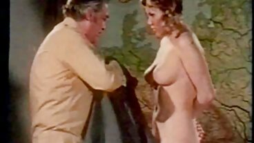 Brazzers: બીપી ગુજરાતી સેકસી વીડીયો PornHD પર Taylee વુડ સાથે બાર્ગેન હમ્પિંગ
