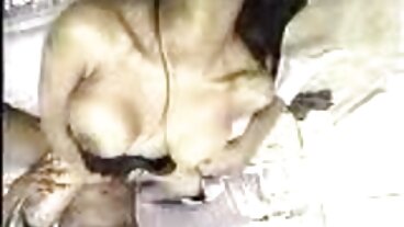 BRAZZERS વેડિંગ ગુજરાતી બીપી વીડીયો સેકસી ડે એનલ સરપ્રાઈઝ ફોર નોટ પતિ